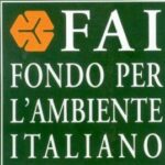 logo_FAI